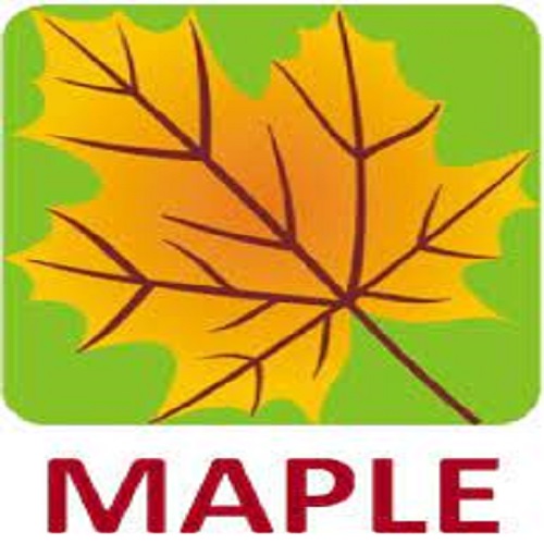 MAPLE ENGG DESIGN SERVICES INDIA PVT LTD